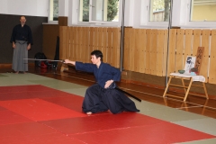 RyushinLG-8