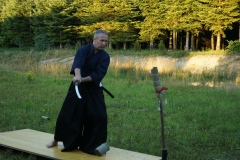 TrainingIaido-09
