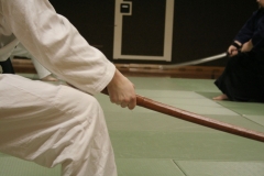 TrainingIaido-35