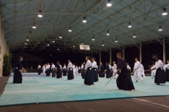 TrainingIaido-36