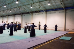 TrainingIaido-38