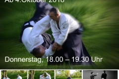 Anfängertraining Aikido Herbst 2018